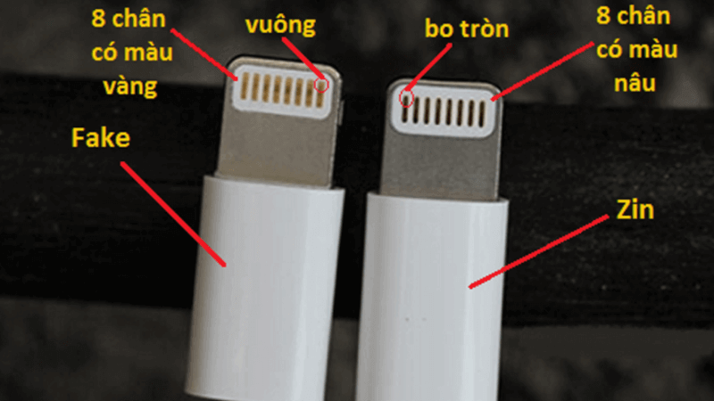 phân biệt qua 8 chân