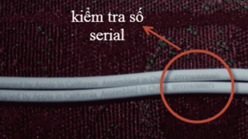 phân biệt qua số serial